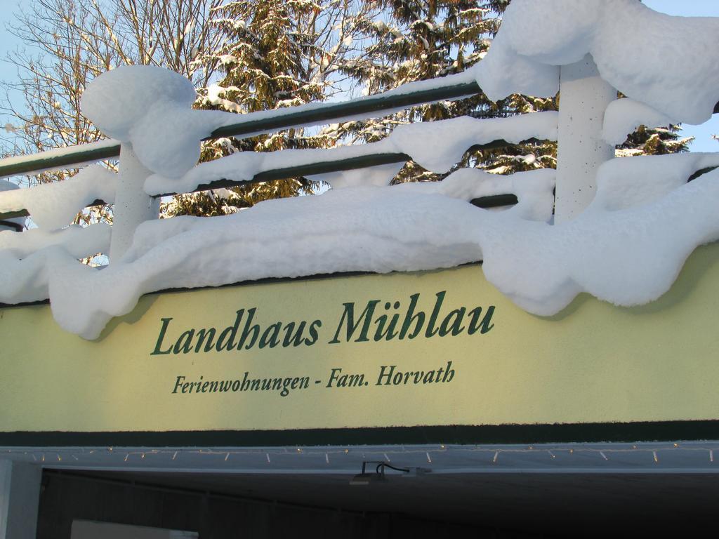 Apartment Landhaus Muehlau In Tirol Erpfendorf Exterior foto